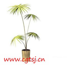 C4D模型md2629_nb5179_w256_h249_x的图片