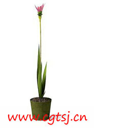 C4D模型md2634_nb5184_w256_h251_x的图片