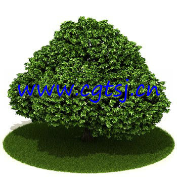 C4D模型MD4431的预览图1