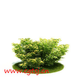 C4D模型md5228_nb7746_w256_h271_x的图片