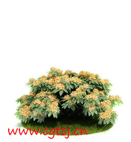 C4D模型md5236_nb7754_w256_h278_x的图片