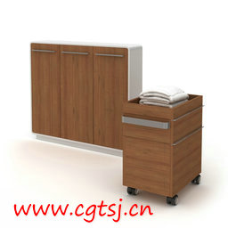 C4D模型md5472_nb7986_w256_h256_x的图片