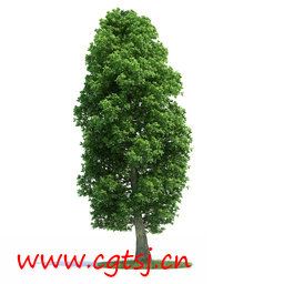 C4D模型md5589_nb8101_w256_h256_x的图片