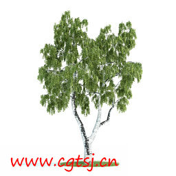C4D模型md5618_nb8130_w256_h256_x的图片