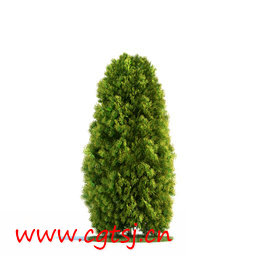 C4D模型md5632_nb8144_w256_h256_x的图片